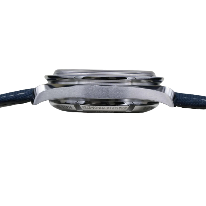 Omega Speedmaster Professional Moonwatch “Silver Snoopy Award”